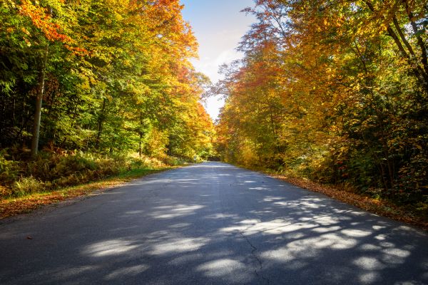 Cost of Blacktop Replacement in Auburn